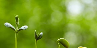 5 Reasons Your Self-Development Growth May be Slow – Confidence, Success, & Personal Development