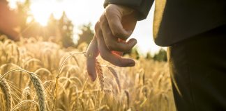 Is Personal Development a Scam? A Disabled Person’s Story