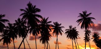 Are You Really Living, or Are You Using “Being Present” to Get to Where the Grass is Greener?